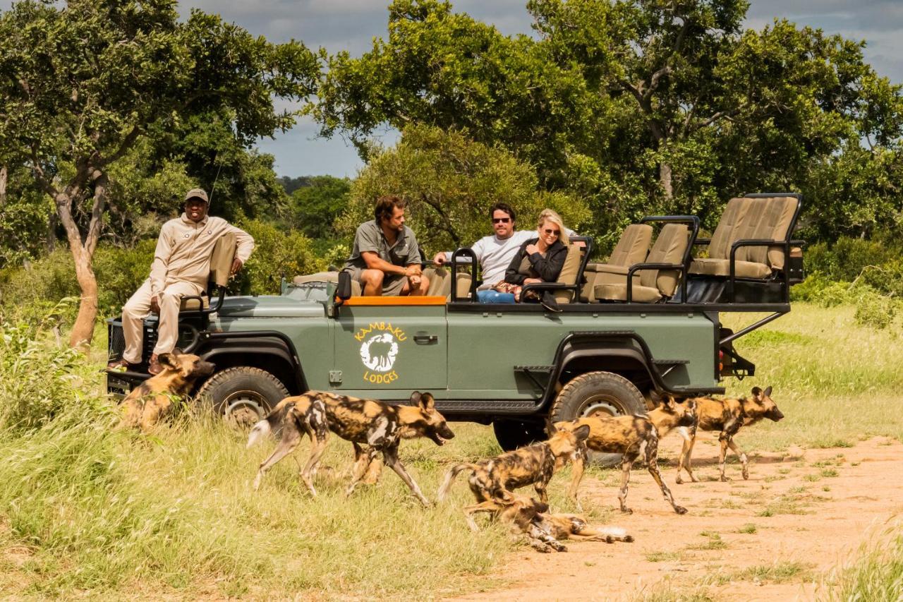 Kambaku Safari Lodge محمية تيمبافاتي غيم المظهر الخارجي الصورة