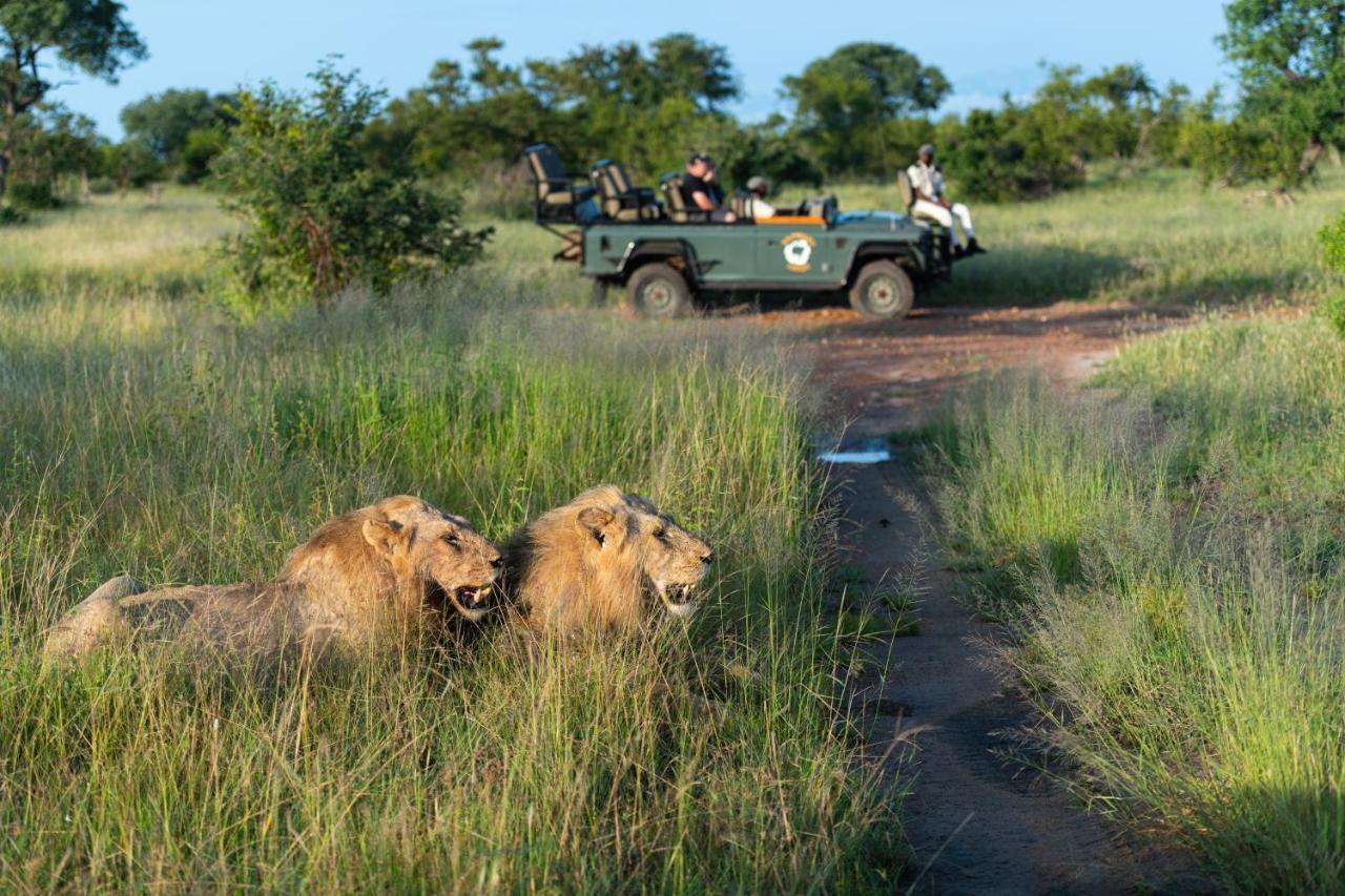 Kambaku Safari Lodge محمية تيمبافاتي غيم المظهر الخارجي الصورة
