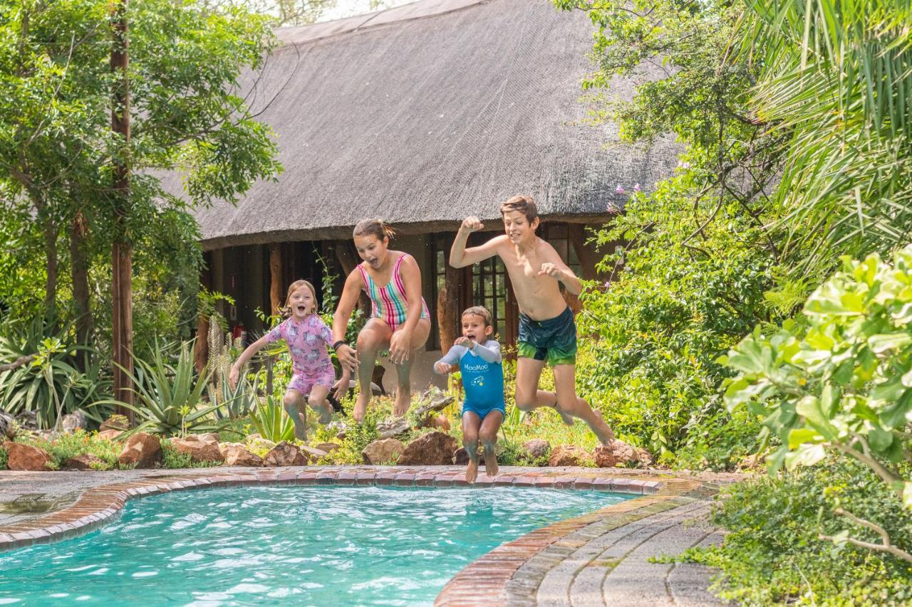 Kambaku Safari Lodge محمية تيمبافاتي غيم المظهر الخارجي الصورة