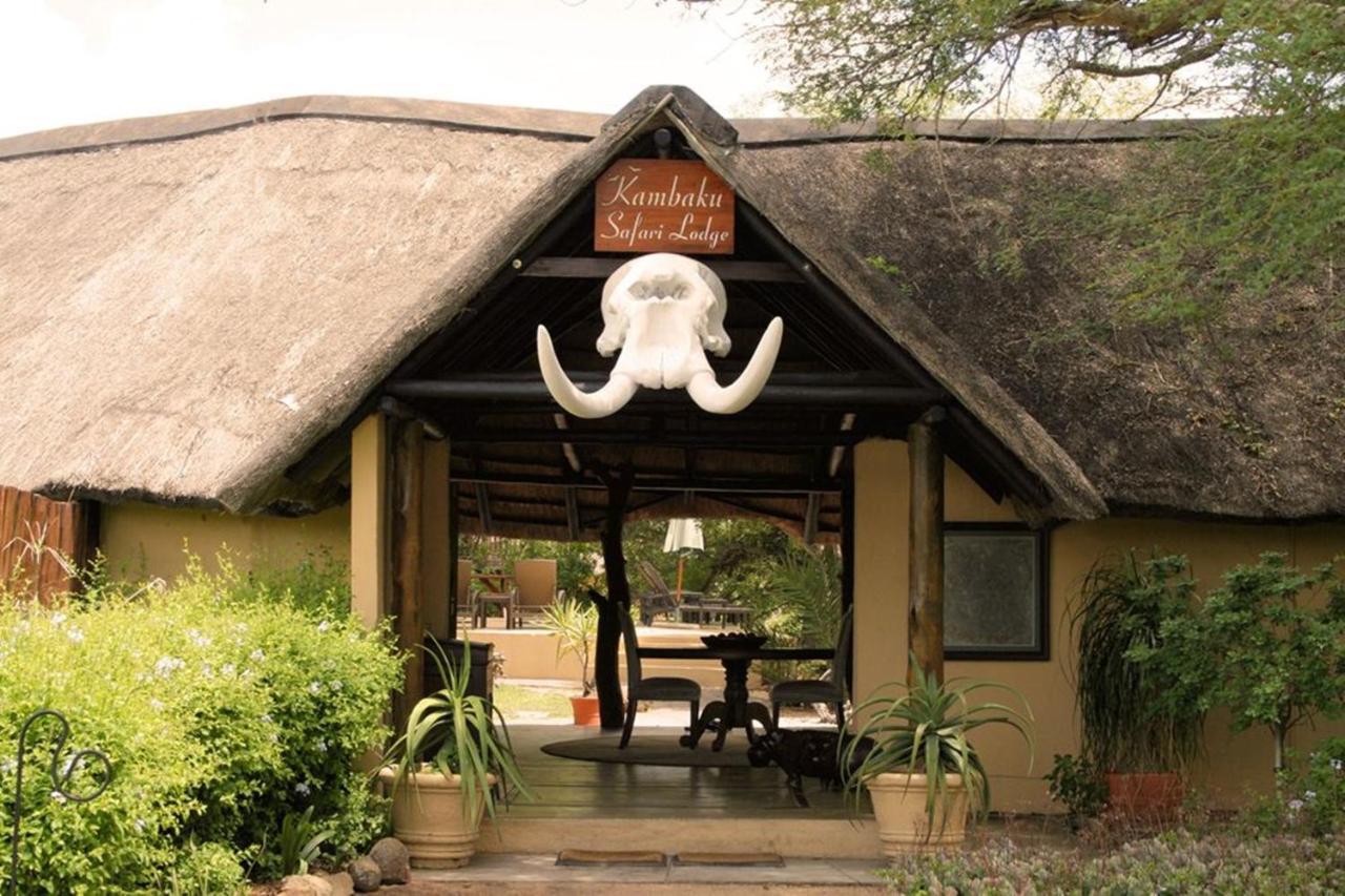 Kambaku Safari Lodge محمية تيمبافاتي غيم المظهر الخارجي الصورة