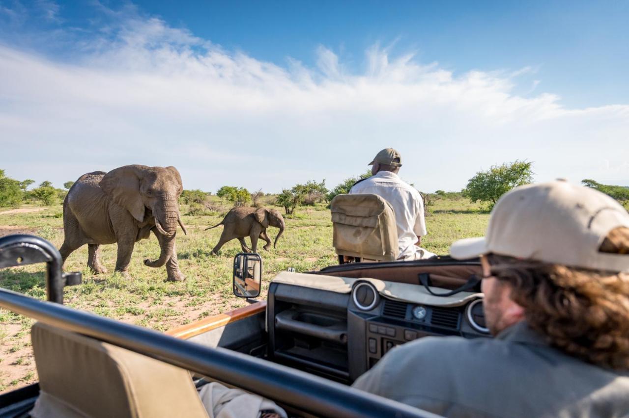 Kambaku Safari Lodge محمية تيمبافاتي غيم المظهر الخارجي الصورة