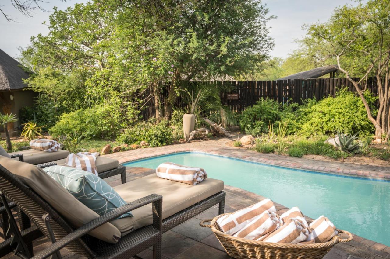 Kambaku Safari Lodge محمية تيمبافاتي غيم المظهر الخارجي الصورة