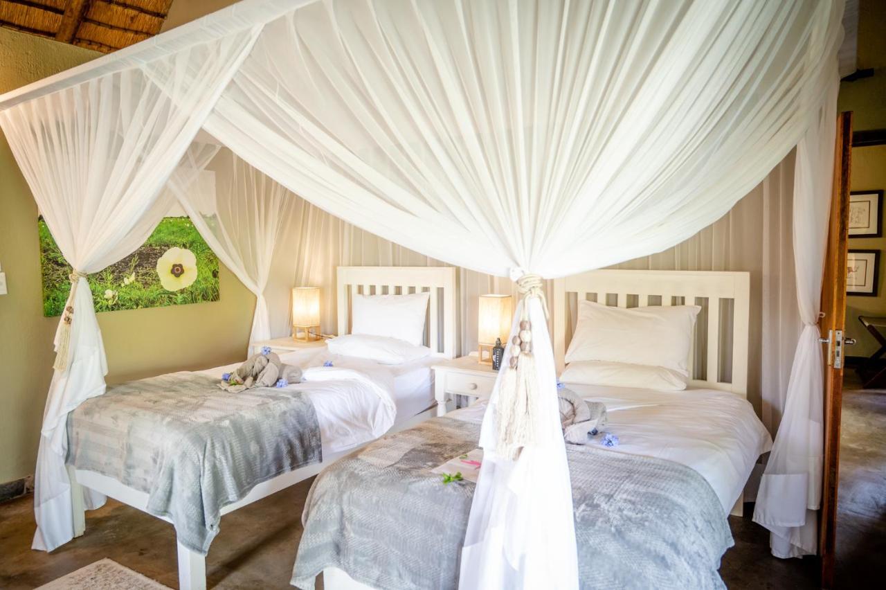 Kambaku Safari Lodge محمية تيمبافاتي غيم المظهر الخارجي الصورة