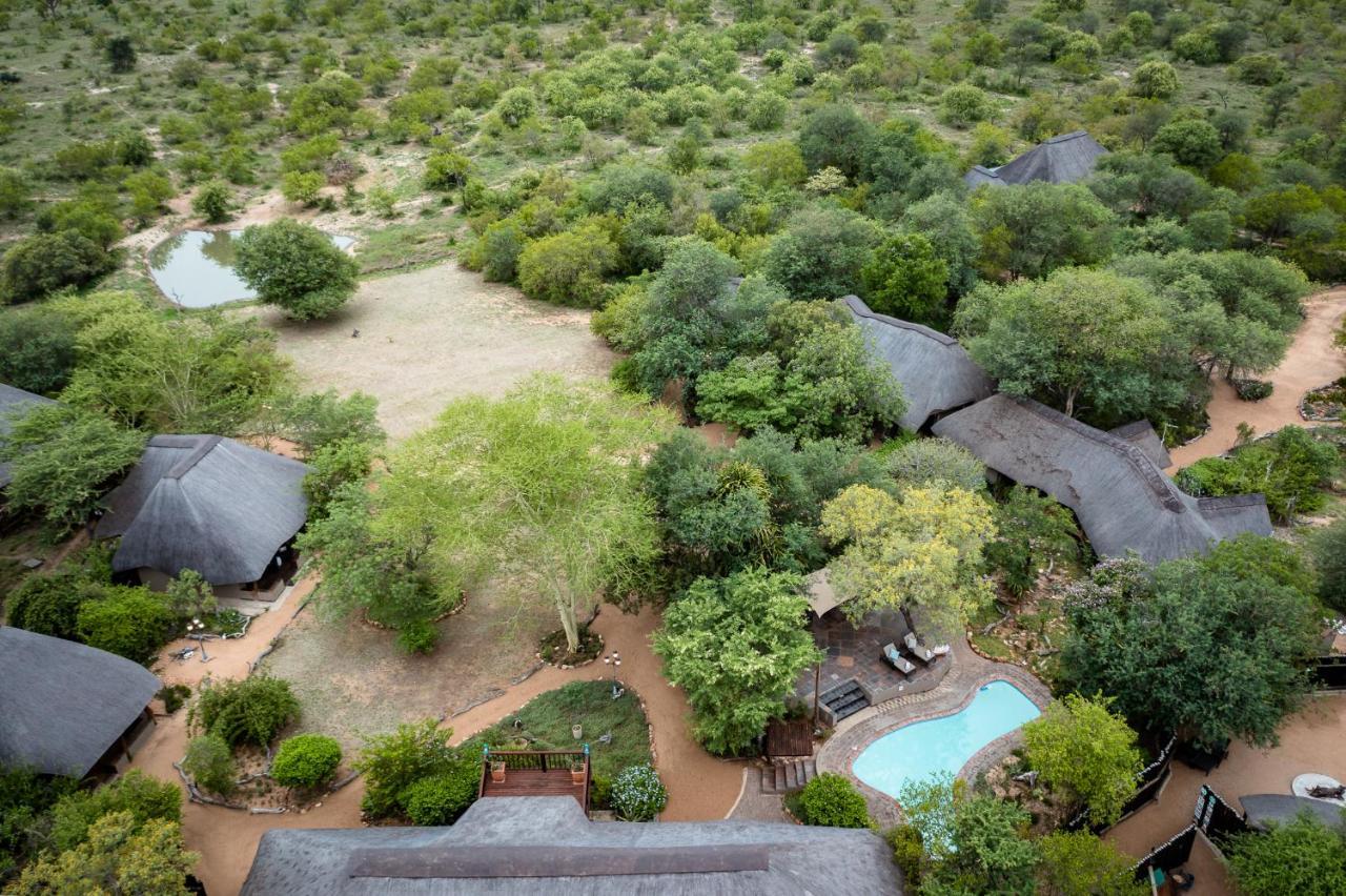 Kambaku Safari Lodge محمية تيمبافاتي غيم المظهر الخارجي الصورة