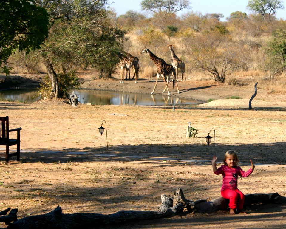 Kambaku Safari Lodge محمية تيمبافاتي غيم المظهر الخارجي الصورة