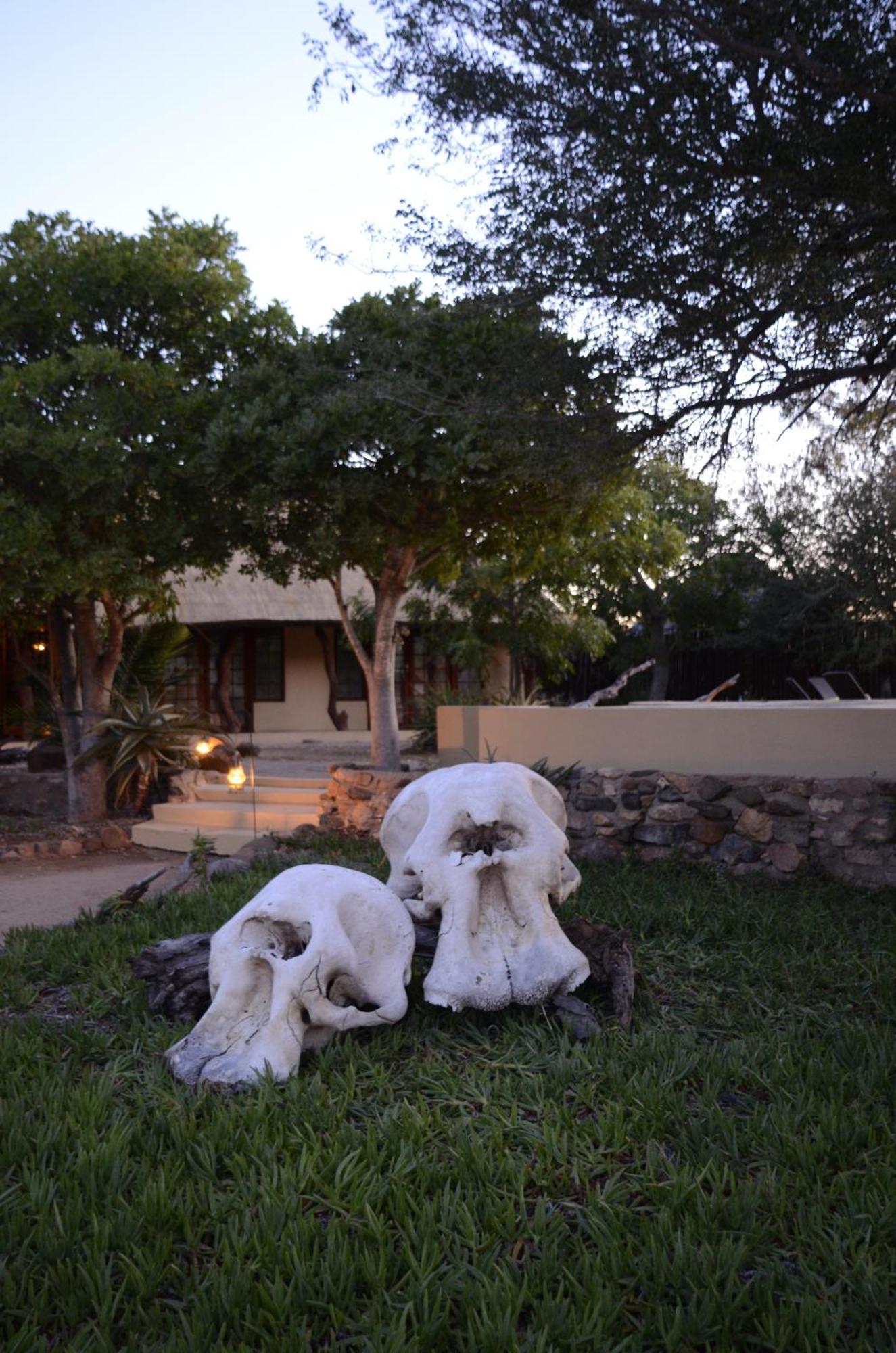 Kambaku Safari Lodge محمية تيمبافاتي غيم المظهر الخارجي الصورة
