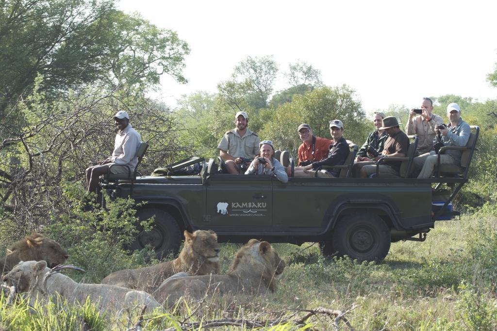 Kambaku Safari Lodge محمية تيمبافاتي غيم المظهر الخارجي الصورة